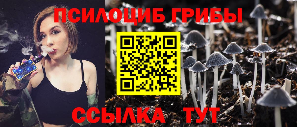 Соликамск  Псилоцибиновые грибы ЛСД  Вход с VPN 