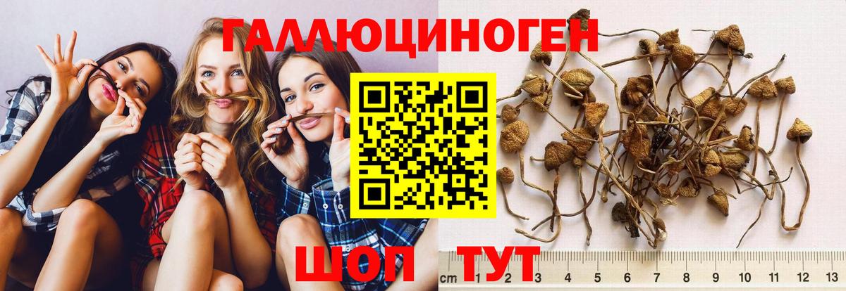 Псилоцибиновые грибы прущие грибы Соликамск